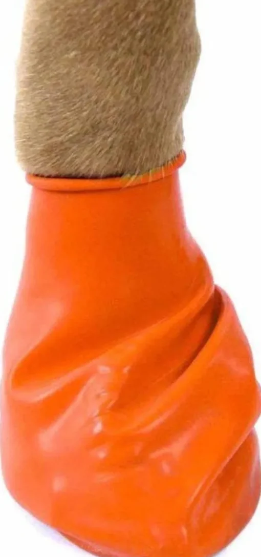 Dog Boots Color Orange XS-Pawz Hot