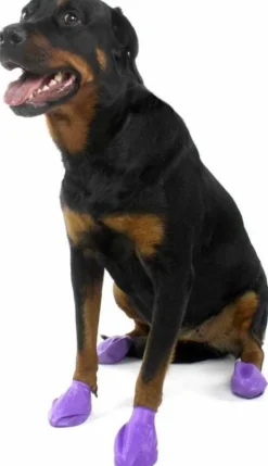 Pawz Dog Boots Color Purple L Fashion