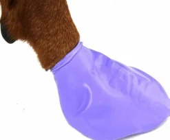 Pawz Dog Boots Color Purple L Fashion