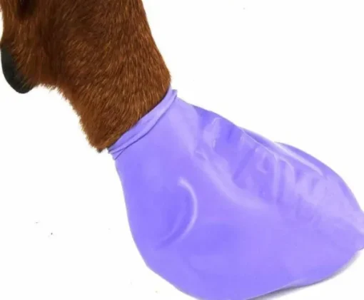 Pawz Dog Boots Color Purple L Fashion