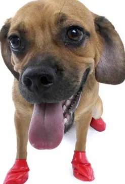 Pawz Dog Boots Color Red S Fashion