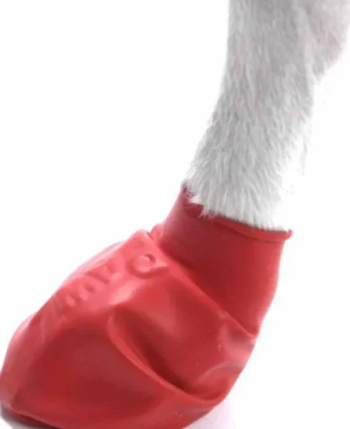 Pawz Dog Boots Color Red S Fashion