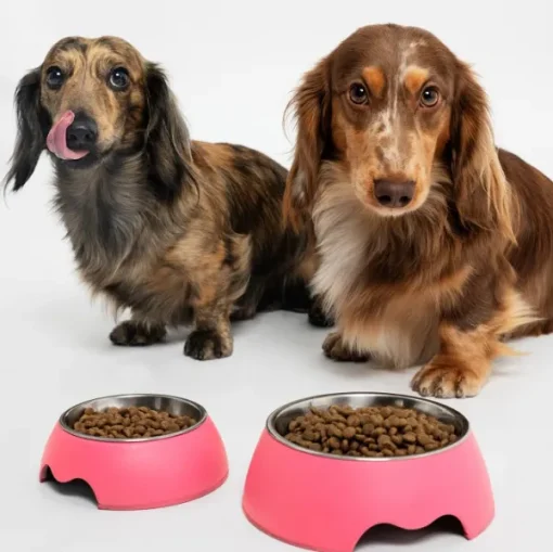 hyönteispohjainen ruoka kasvaville koirille, 5 kg-Petgood Hot