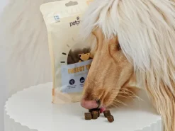 Petgood Iho ja Turkki Koiranherkku, 100 g Discount
