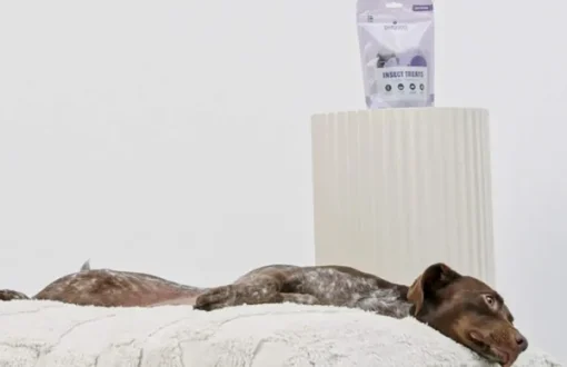 Petgood makupalat koirille, 100 g Fashion