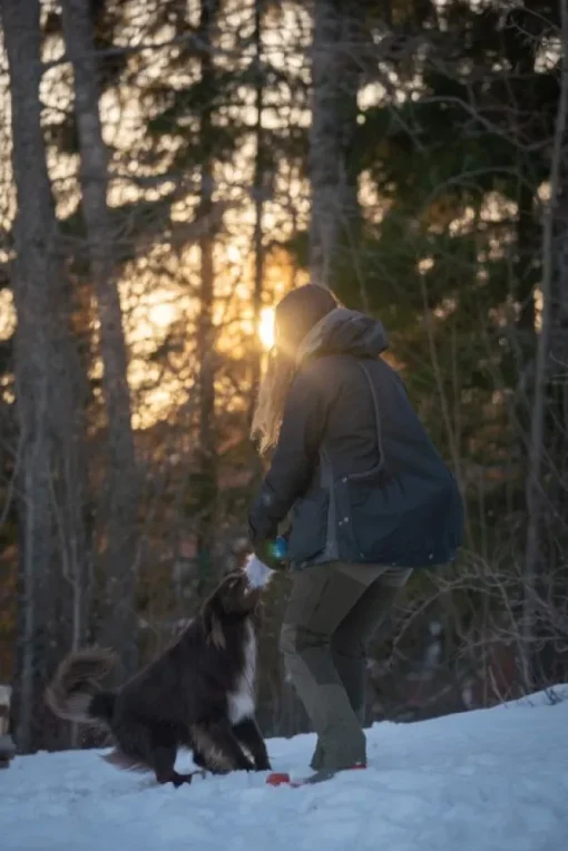 Pinewood Dog Sports 2.0 Jacket naisten takki, viiininpunainen Hot