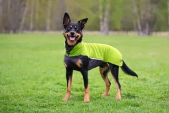Jumppa koiran fleecetakki, 44 - 48 cm, Lime-Pomppa Discount