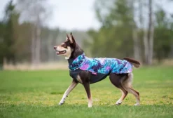 Jumppa koiran fleecetakki, 60 - 65 cm, Aurora-Pomppa Best