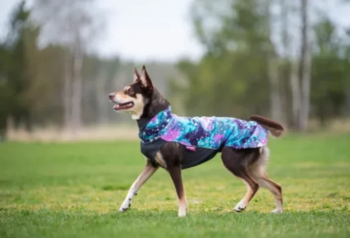 Jumppa koiran fleecetakki, 60 - 65 cm, Aurora-Pomppa Best
