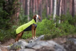 Pomppa Jumppa koiran fleecetakki, 60 - 65 cm, Lime Fashion