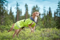 Pomppa Kevyt koiran välikausitakki, 37 - 40 cm, Lime Best
