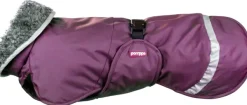 Perus koirantakki, 52-56 cm, Plum-Pomppa Best