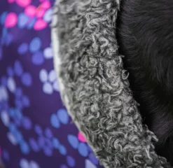 Perus koirien talvitakki, 25 - 28 cm, Cosmos-Pomppa Fashion