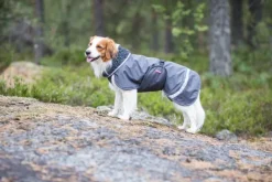 Perus koirien talvitakki, 60 - 65 cm, harmaa-Pomppa Best