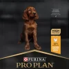 Purina PRO PLAN Large Athletic Puppy HEALTHY START 12kg Outlet