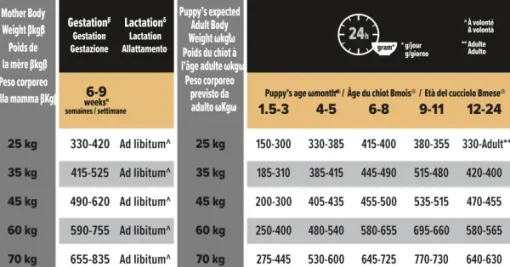 Purina PRO PLAN Large Athletic Puppy HEALTHY START 12kg Outlet