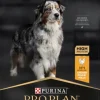 Purina PRO PLAN Medium & Large Adult 7+ AGE DEFENSE 14kg Discount