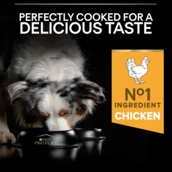 Purina PRO PLAN Medium Adult Everyday Nutrition 14 kg Hot