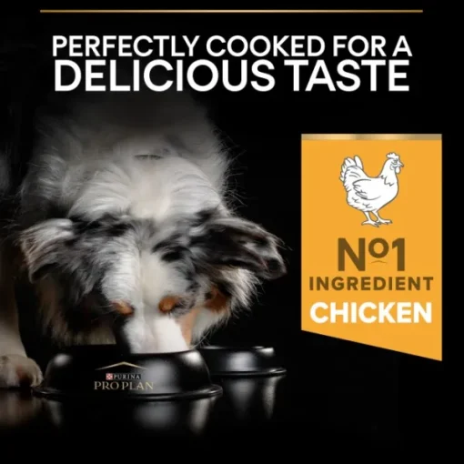 Purina PRO PLAN Medium Adult Everyday Nutrition 14 kg Hot
