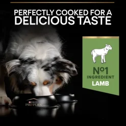 Purina PRO PLAN Medium Adult Sensitive Digestion Lamm 14 kg Fashion