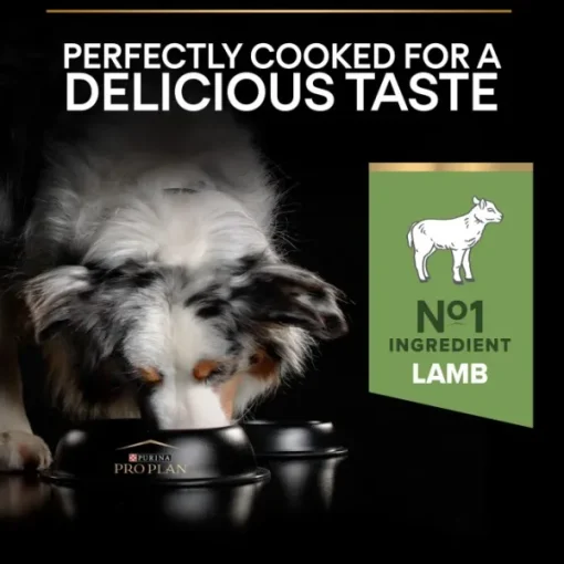 Purina PRO PLAN Medium Adult Sensitive Digestion Lamm 14 kg Fashion