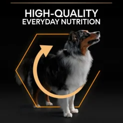 Purina PRO PLAN Medium Adult Everyday Nutrition 14 kg Hot