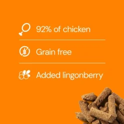 Chicken Lingonberry Treat 100 g-RAUH! Discount