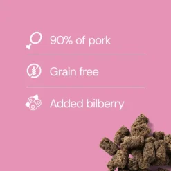 RAUH! Pork Bilberry Treat 100 g Hot