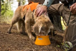 RuffWear Bivy Bowl retkikuppi, 1,8L, oranssi Fashion