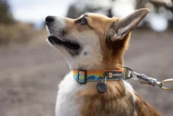Crag Collar koiran kaulapanta, Rising Wave-RuffWear Hot