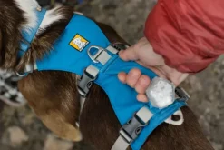 Flagline Harness valjaat, harmaa-RuffWear Sale