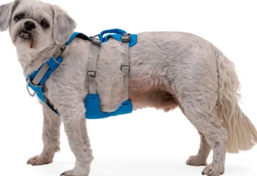 Flagline Harness valjaat, harmaa-RuffWear Sale