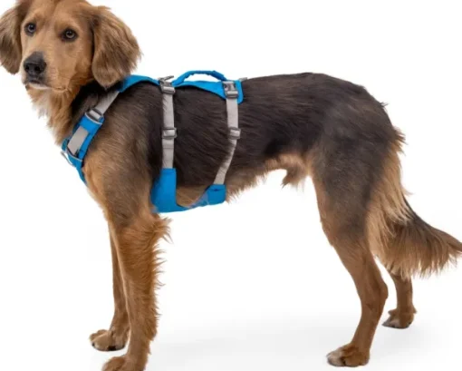 Flagline Harness valjaat, harmaa-RuffWear Sale