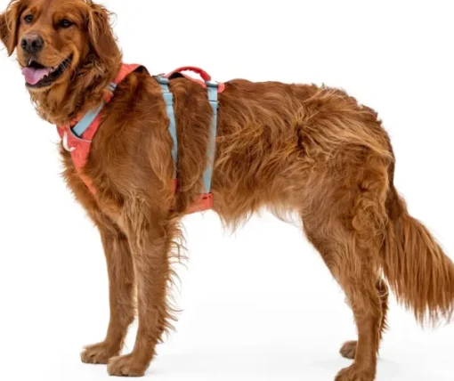 Flagline Harness valjaat, harmaa-RuffWear Sale