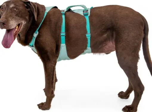 Flagline Harness valjaat, harmaa-RuffWear Sale