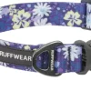 RuffWear Front Range Collar koiran kaulapanta, Wildflower Best