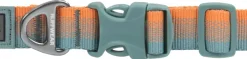 RuffWear Front Range Collar kaulapanta, Spring Fade Hot