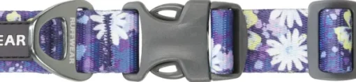 RuffWear Front Range Collar koiran kaulapanta, Wildflower Best