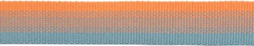 RuffWear Front Range Collar kaulapanta, Spring Fade Hot