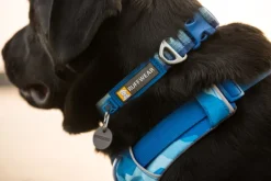 Front Range Collar kaulapanta, tummanharmaa-RuffWear Best