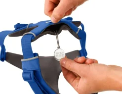 Front Range Harness valjaat, sininen-RuffWear Outlet