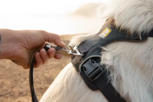 RuffWear Front Range Harness Blaze Orange XXS-S Online