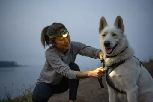 RuffWear Front Range Harness Blaze Orange XXS-S Online