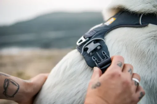 Front Range Harness valjaat, sininen-RuffWear Outlet