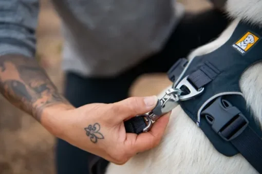 Front Range Harness valjaat, sininen-RuffWear Outlet
