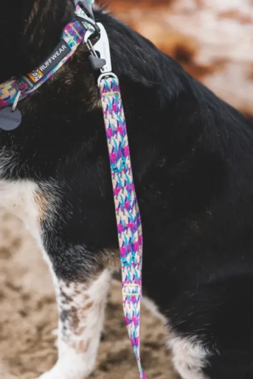 Front Range Leash koiran talutushihna, Mountains Logo-RuffWear New