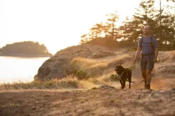 Front Range Leash Blaze Orange-RuffWear Online