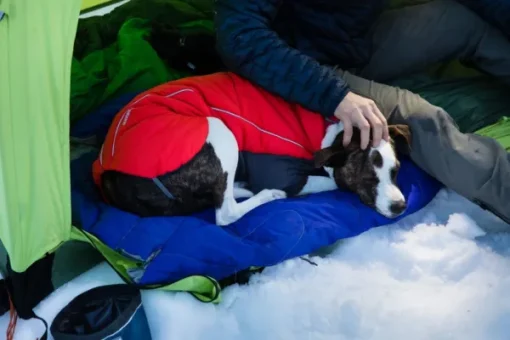 RuffWear Furness Jacket koiran talvitakki, Red Sumac Hot