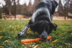Gnawt-a-Stick Toy Glacial Blue-RuffWear New