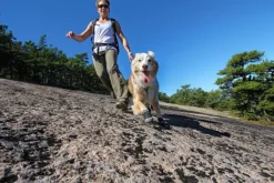 Grip Trex 2-pack Obsidian Black-RuffWear Outlet